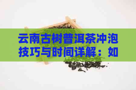 云南古树普洱茶冲泡技巧与时间详解：如何正确品鉴这一名茶