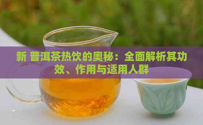 新 普洱茶热饮的奥秘：全面解析其功效、作用与适用人群