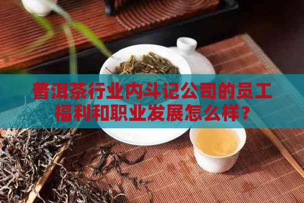 普洱茶行业内斗记公司的员工福利和职业发展怎么样？