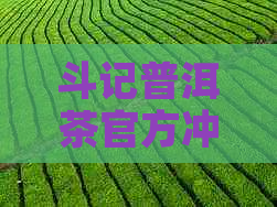 斗记普洱茶官方冲泡指南：一份完整的品茗之道