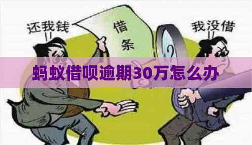 蚂蚁借呗逾期30万怎么办