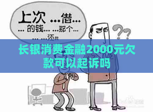 长银消费金融2000元欠款可以起诉吗