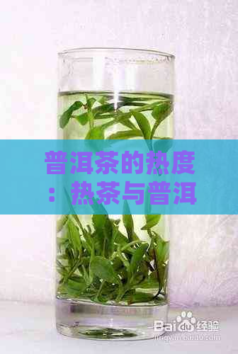 普洱茶的热度：热茶与普洱茶的关系、功效及冲泡方法详解