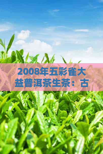 2008年五彩雀大益普洱茶生茶：古树茶韵，醇厚口感与独特香气的完美结合