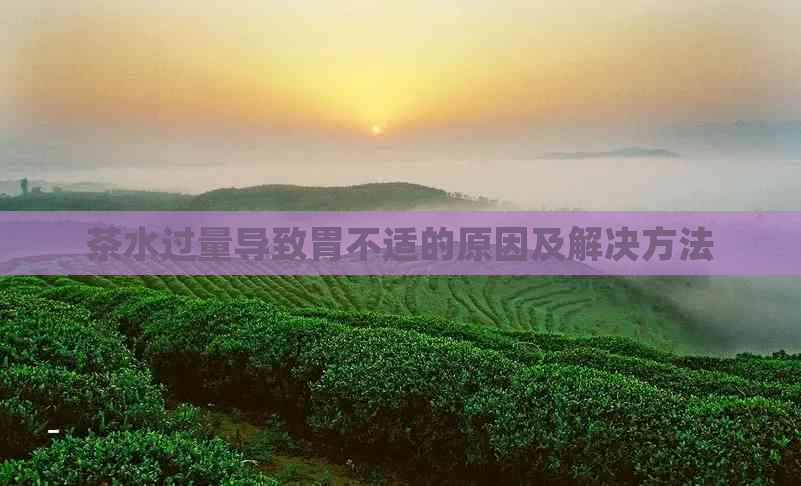 茶水过量导致胃不适的原因及解决方法