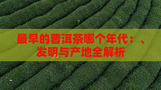 最早的普洱茶哪个年代：、发明与产地全解析