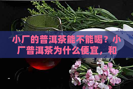 小厂的普洱茶能不能喝？小厂普洱茶为什么便宜，和大厂有什么区别？