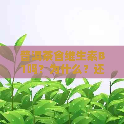 普洱茶含维生素B1吗？为什么？还含有其他维生素和维C吗？