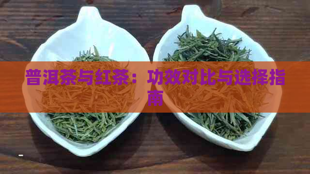 普洱茶与红茶：功效对比与选择指南