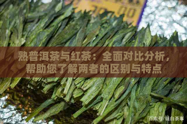 熟普洱茶与红茶：全面对比分析，帮助您了解两者的区别与特点