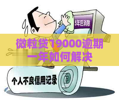 微立贷19000逾期一年如何解决