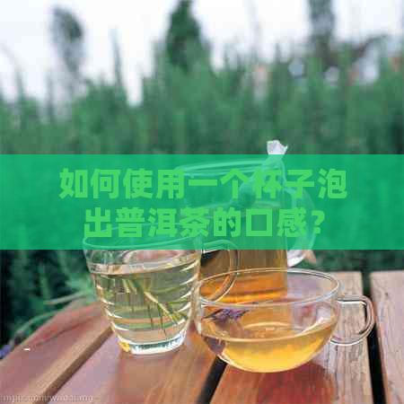 如何使用一个杯子泡出普洱茶的口感？