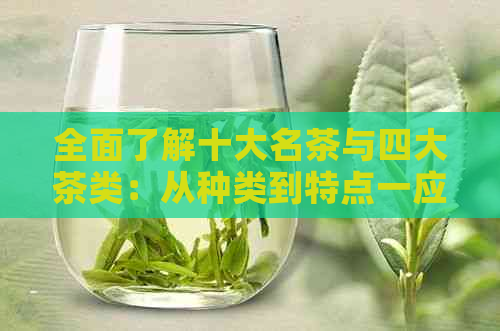 全面了解十大名茶与四大茶类：从种类到特点一应俱全