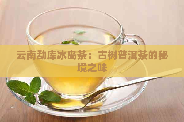 云南勐库冰岛茶：古树普洱茶的秘境之味