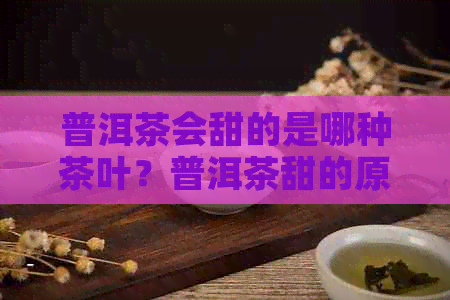 普洱茶会甜的是哪种茶叶？普洱茶甜的原因是什么？