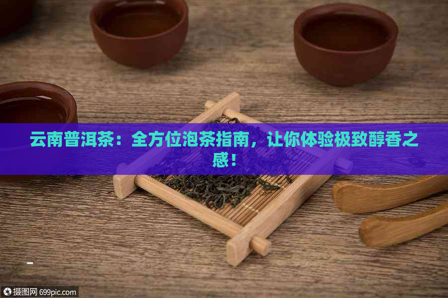 云南普洱茶：全方位泡茶指南，让你体验极致醇香之感！