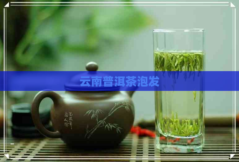 云南普洱茶泡发