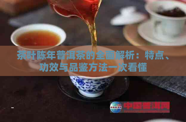 茶叶陈年普洱茶的全面解析：特点、功效与品鉴方法一次看懂