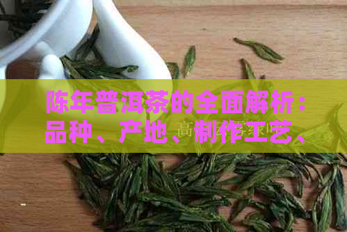 陈年普洱茶的全面解析：品种、产地、制作工艺、品鉴方法和功效详解