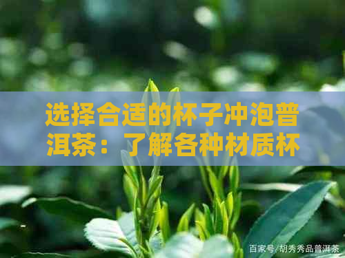 选择合适的杯子冲泡普洱茶：了解各种材质杯子的优缺点及泡茶效果