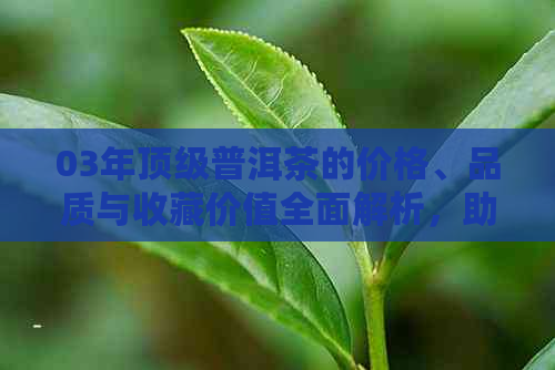 03年顶级普洱茶的价格、品质与收藏价值全面解析，助您了解古普茶市场