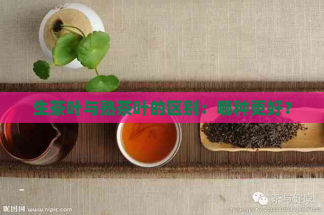 生茶叶与熟茶叶的区别：哪种更好？