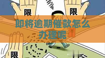 即将逾期催款怎么办理呢