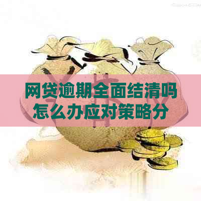 网贷逾期全面结清吗怎么办应对策略分享