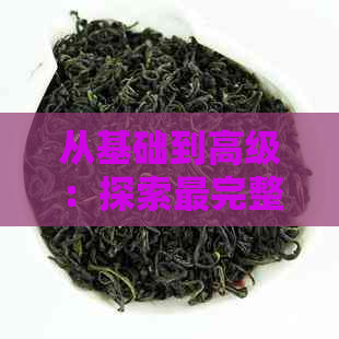 从基础到高级：探索最完整的普洱茶冲泡方法与技巧，助你成为专业茶叶爱好者