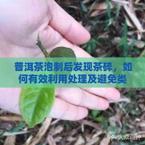 普洱茶泡制后发现茶碎，如何有效利用处理及避免类似情况再次发生？