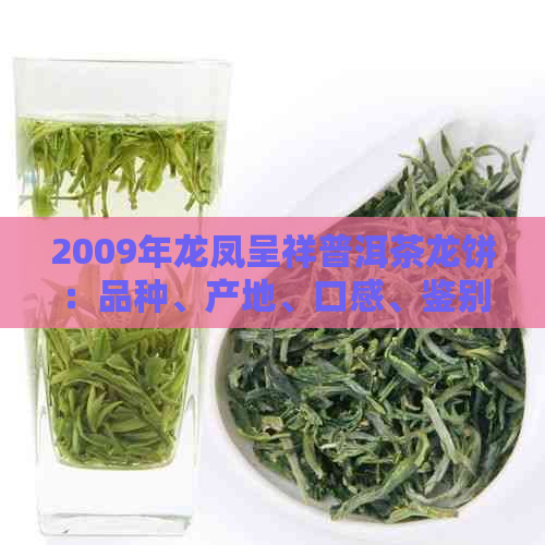 2009年龙凤呈祥普洱茶龙饼：品种、产地、口感、鉴别方法及收藏价值全面解析