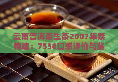 云南普洱茶生茶2007年泰精选：7538口感评价与鉴