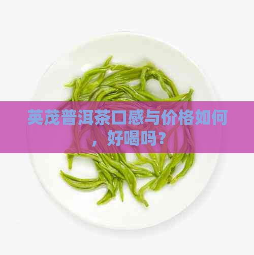 英茂普洱茶口感与价格如何，好喝吗？