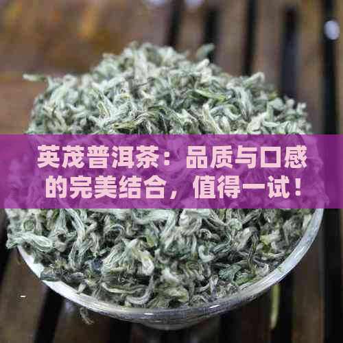 英茂普洱茶：品质与口感的完美结合，值得一试！