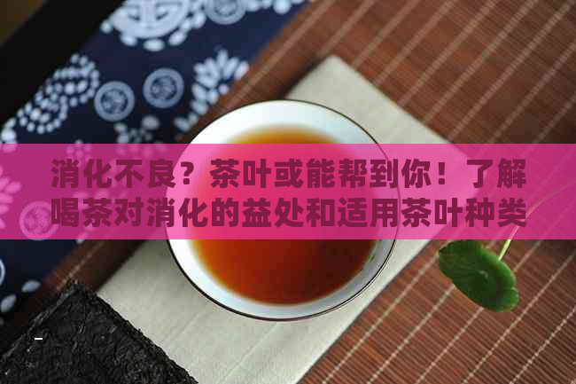 消化不良？茶叶或能帮到你！了解喝茶对消化的益处和适用茶叶种类