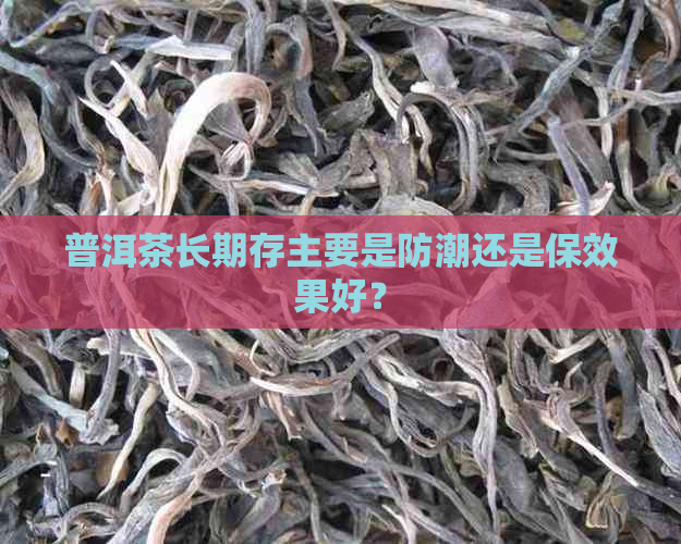 普洱茶长期存主要是防潮还是保效果好？