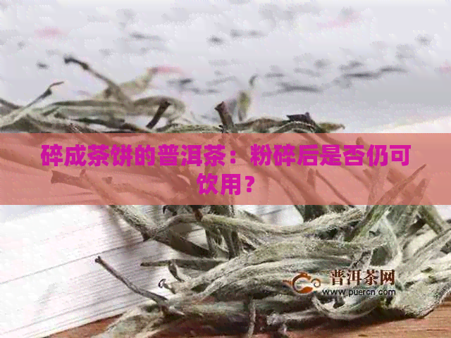 碎成茶饼的普洱茶：粉碎后是否仍可饮用？