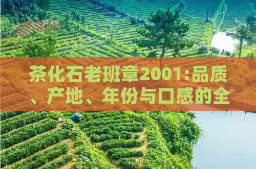 茶化石老班章2001:品质、产地、年份与口感的全面解析