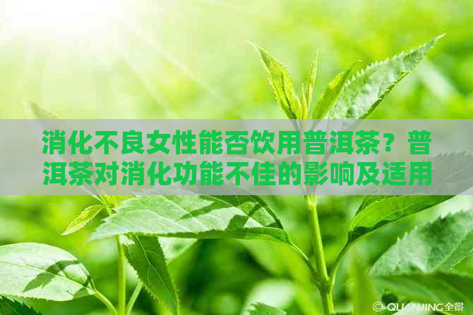 消化不良女性能否饮用普洱茶？普洱茶对消化功能不佳的影响及适用性探讨