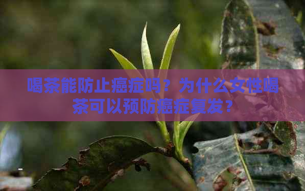 喝茶能防止癌症吗？为什么女性喝茶可以预防癌症复发？