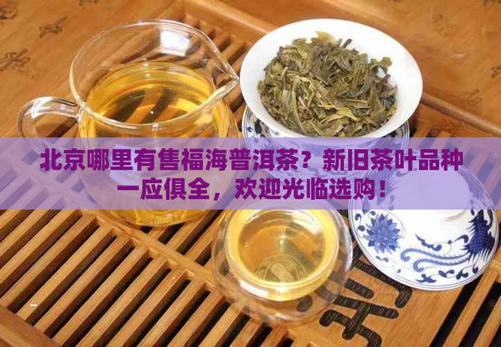 北京哪里有售福海普洱茶？新旧茶叶品种一应俱全，欢迎光临选购！