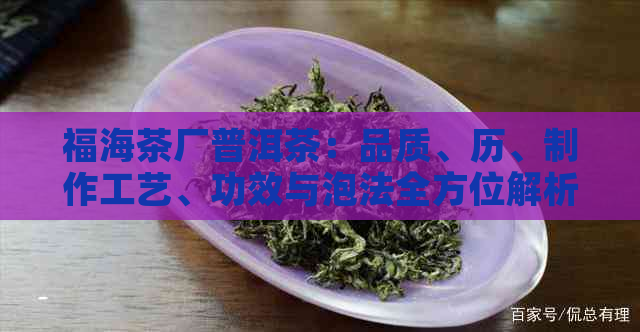 福海茶厂普洱茶：品质、历、制作工艺、功效与泡法全方位解析