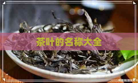 茶叶的名称大全