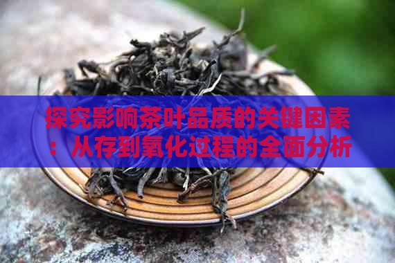 探究影响茶叶品质的关键因素：从存到氧化过程的全面分析