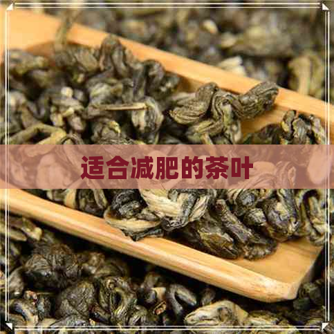 适合减肥的茶叶