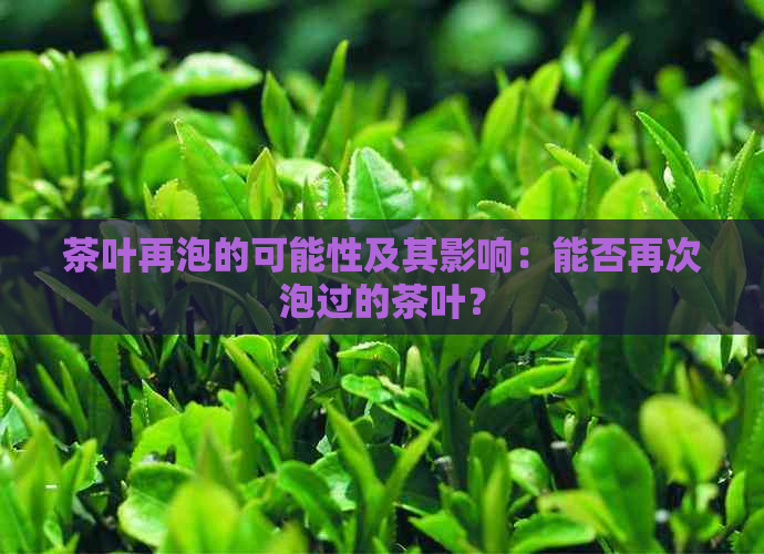 茶叶再泡的可能性及其影响：能否再次泡过的茶叶？