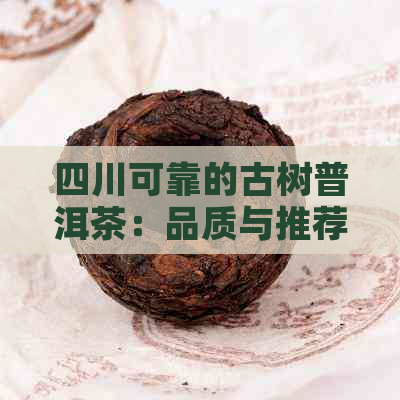 四川可靠的古树普洱茶：品质与推荐