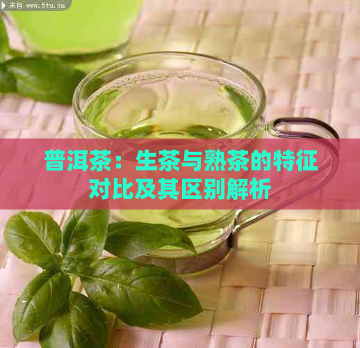 普洱茶：生茶与熟茶的特征对比及其区别解析