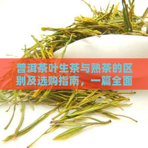 普洱茶叶生茶与熟茶的区别及选购指南，一篇全面解答用户疑问的文章