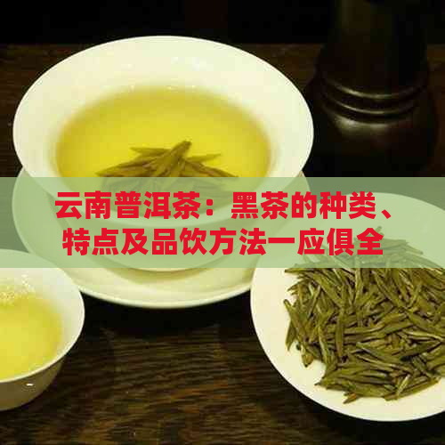 云南普洱茶：黑茶的种类、特点及品饮方法一应俱全